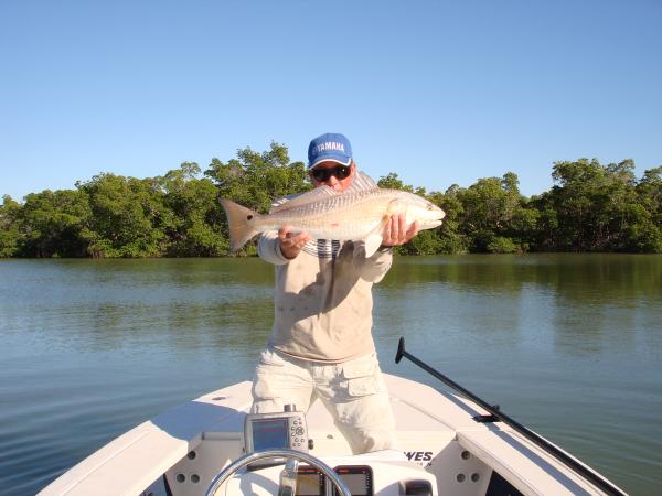 191 1201728912